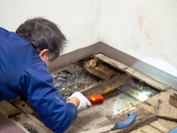 Best Industrial Mold Remediation in Midland, NC