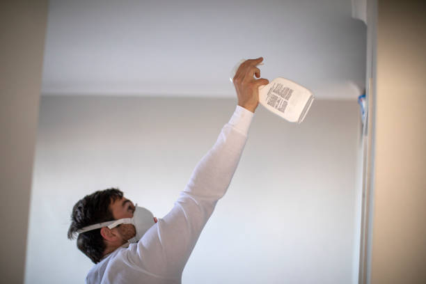 Best Preventive Mold Services in Midland, NC