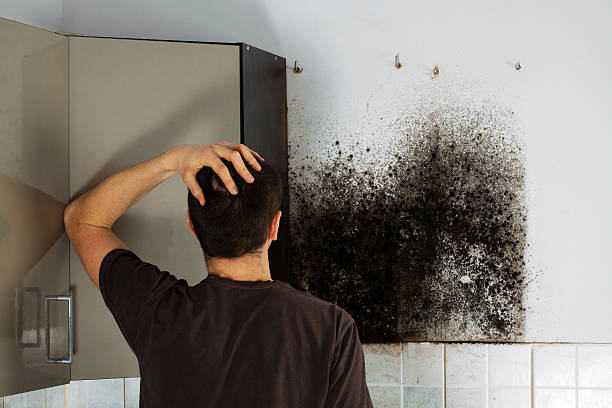 Trusted Midland, NC Mold Remediation Experts